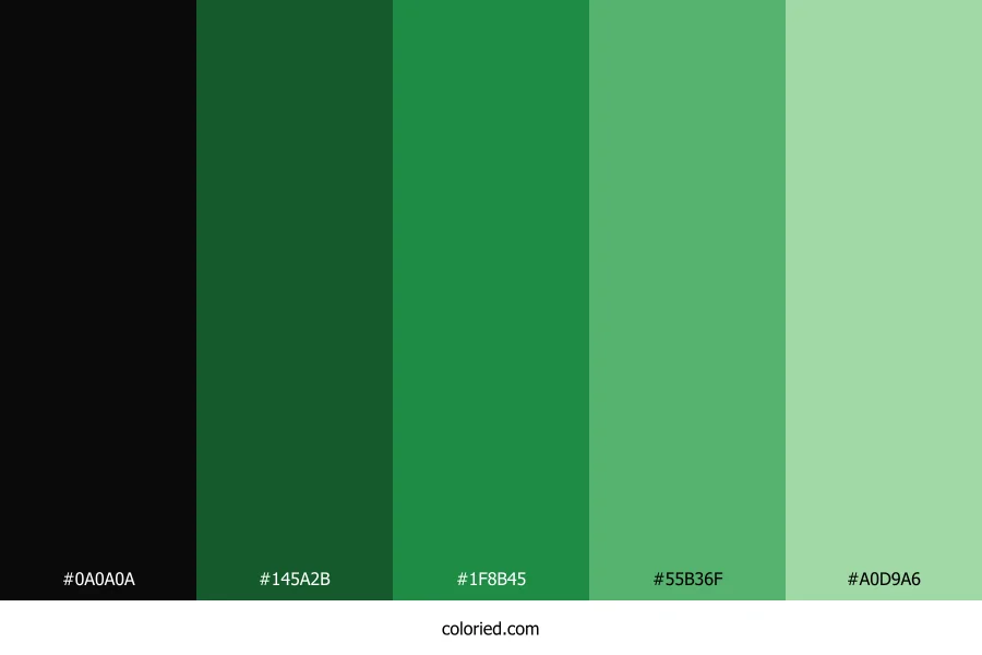 Black and Green Color Palette