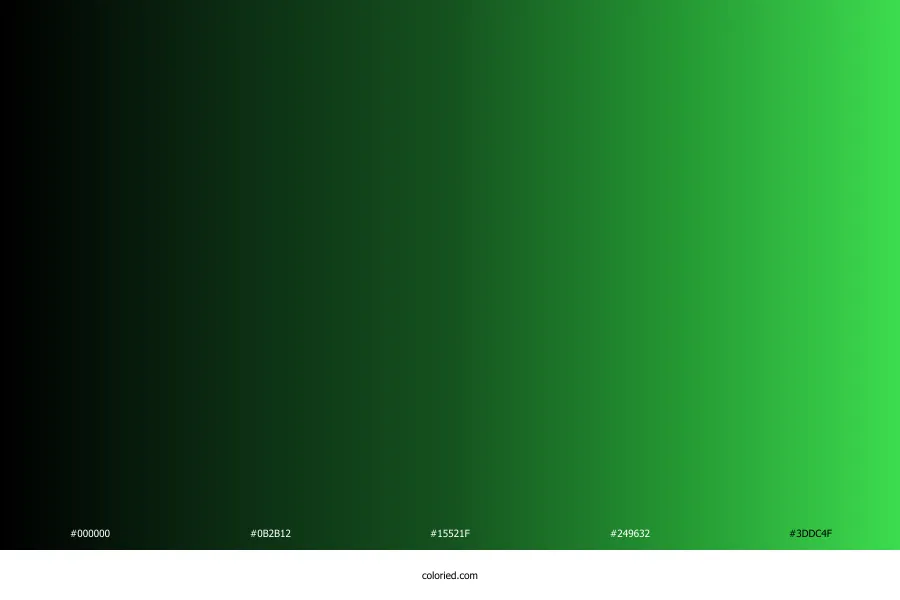 Black and Green Gradient