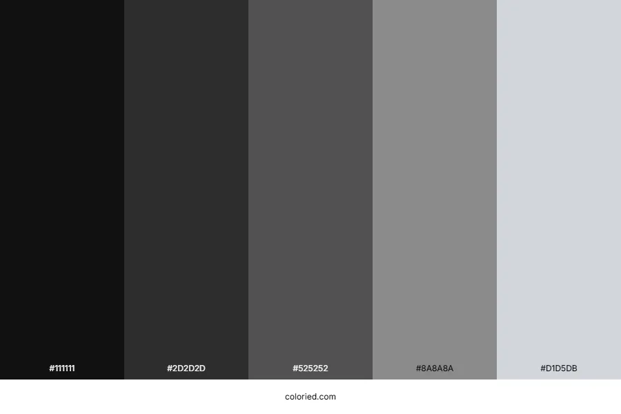 Black and Grey Color Palette