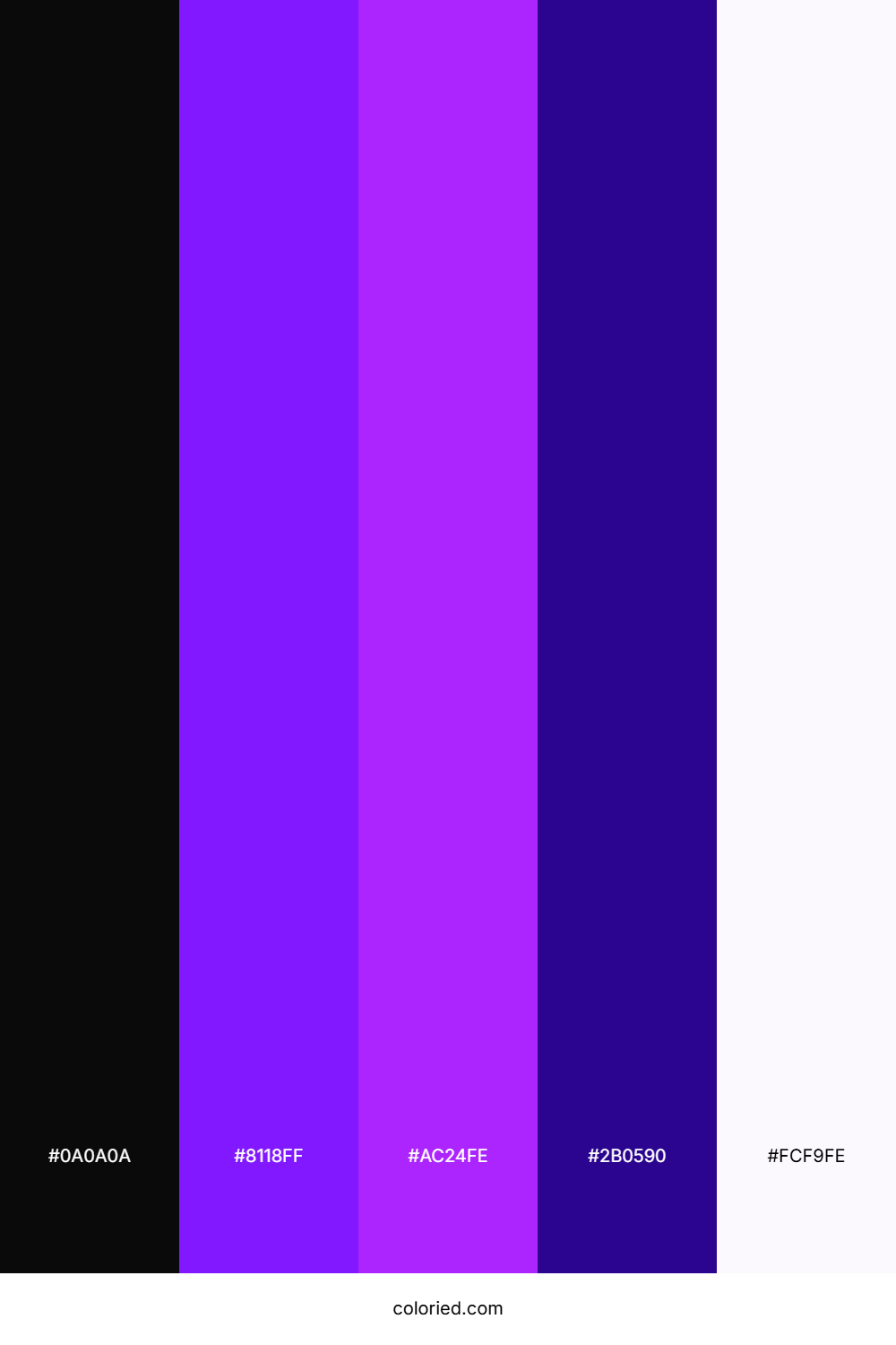 Black and Neon Purple Color Palette