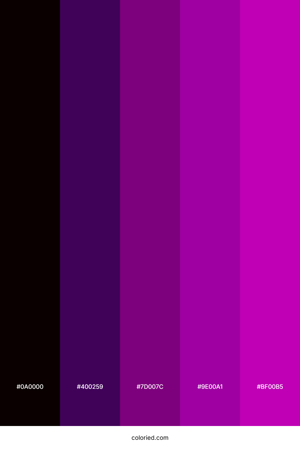 Black and Purple Color Palette