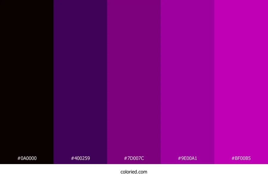 Black and Purple Color Palette