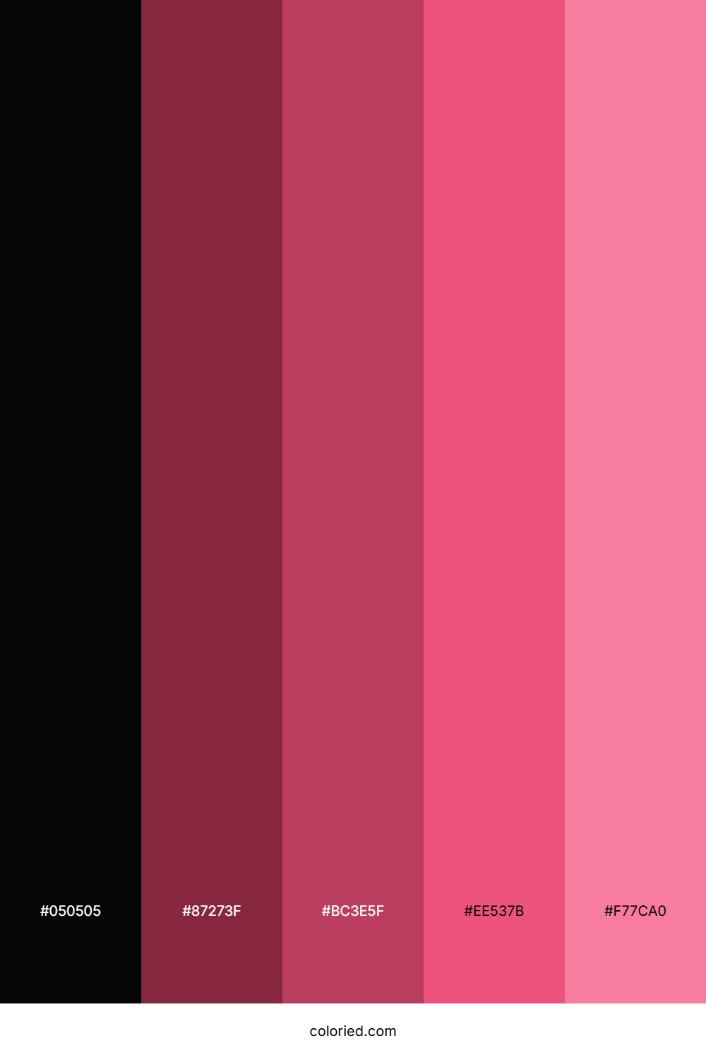 Black and Rose Color Palette