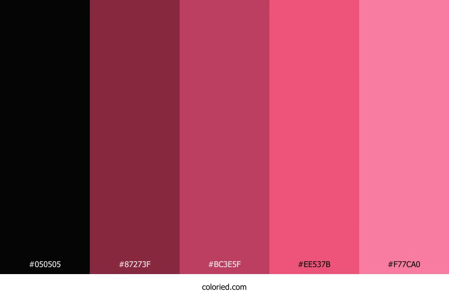 Black and Rose Color Palette