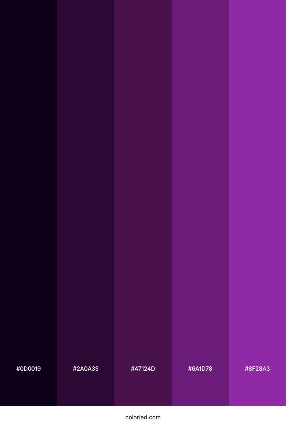 Black and Violet Gradient Color Palette