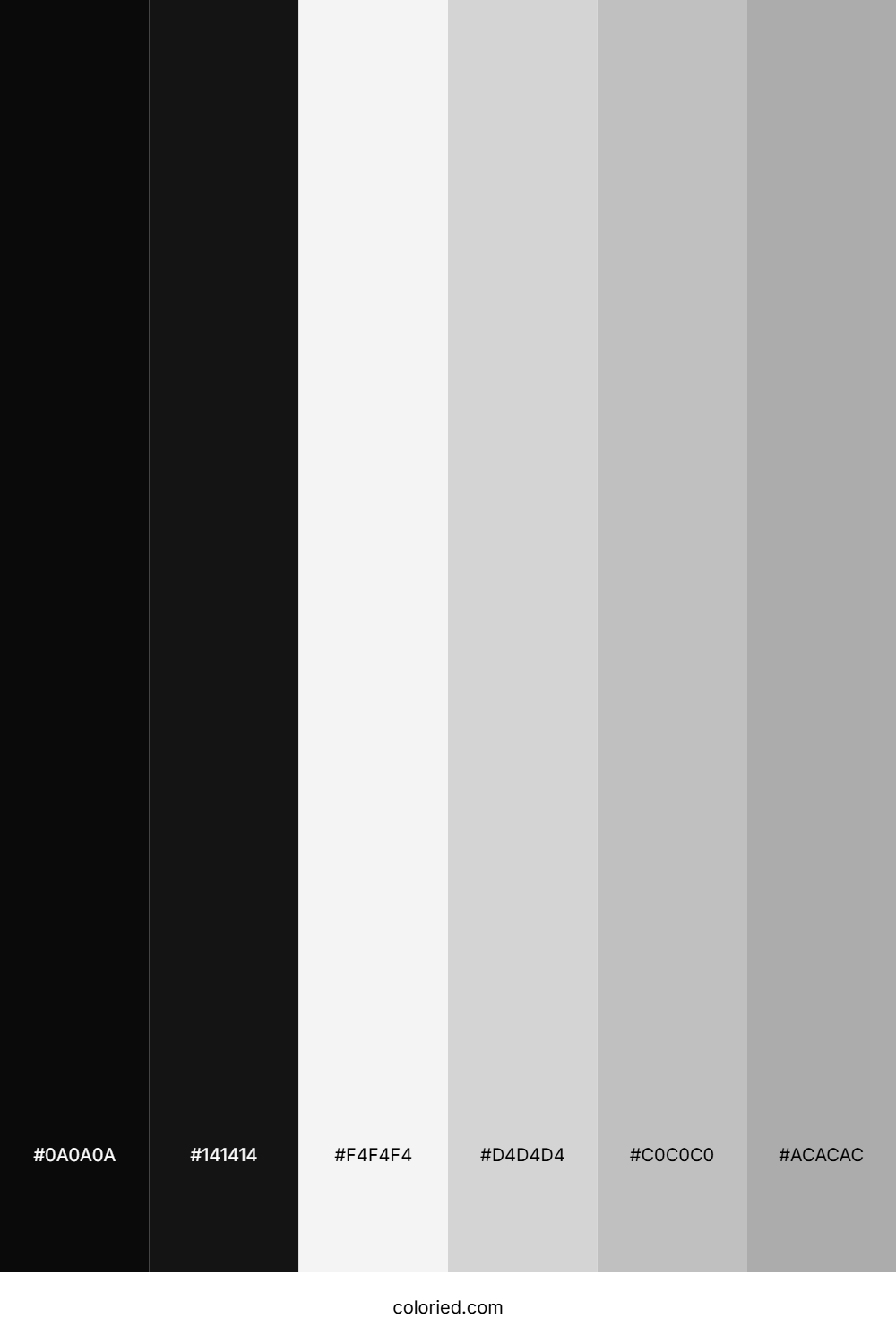 Black and White Color Palette