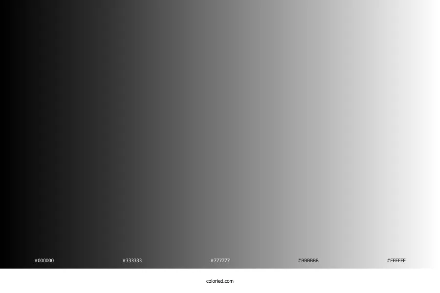 Black and White Gradient