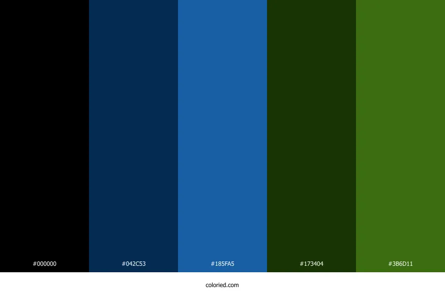 Black Blue and Green Color Palette