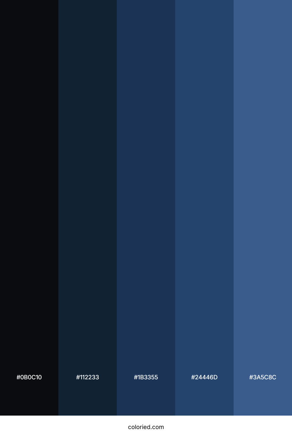 Black Blue Navy Color Palette