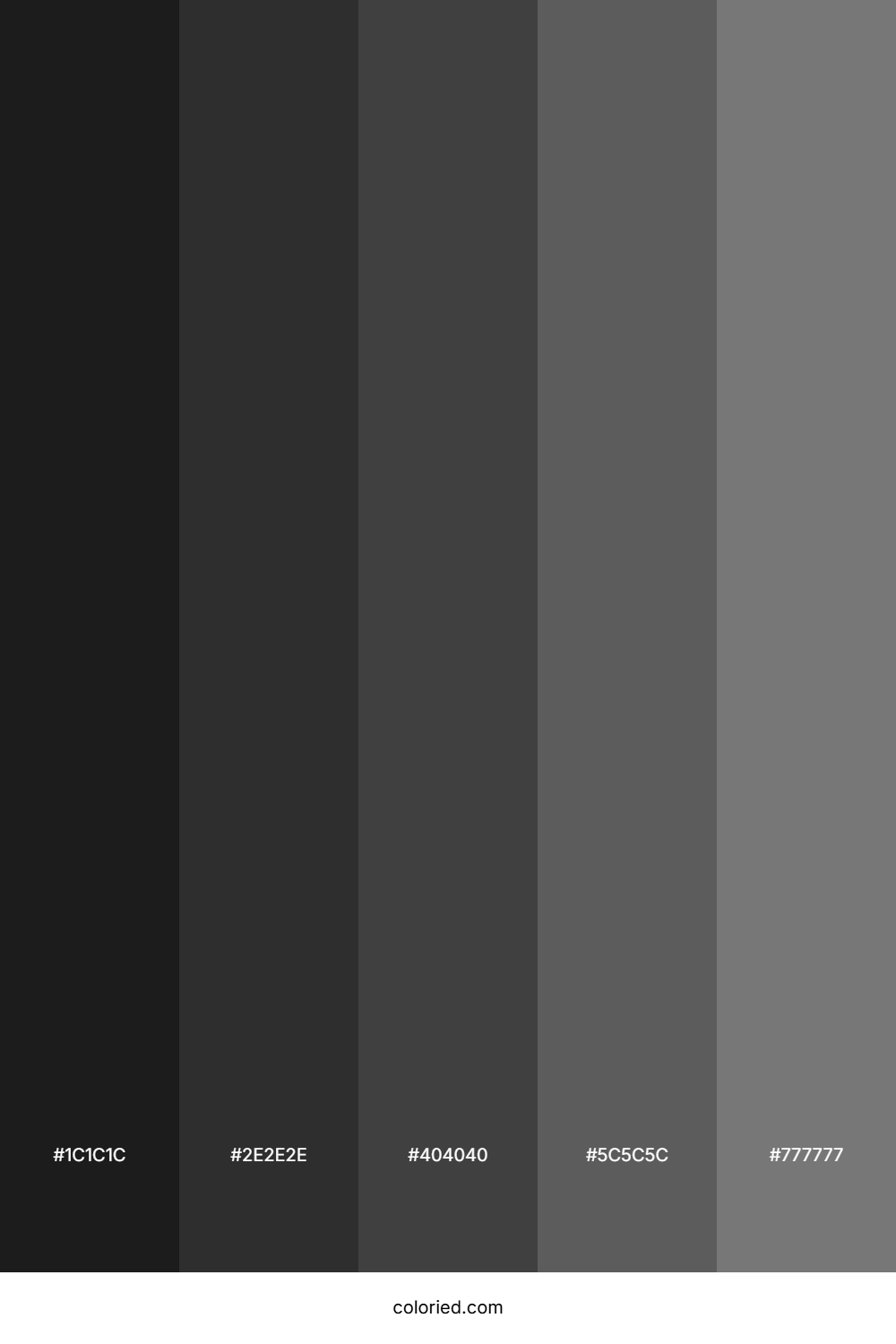 Black Carbon Color Palette