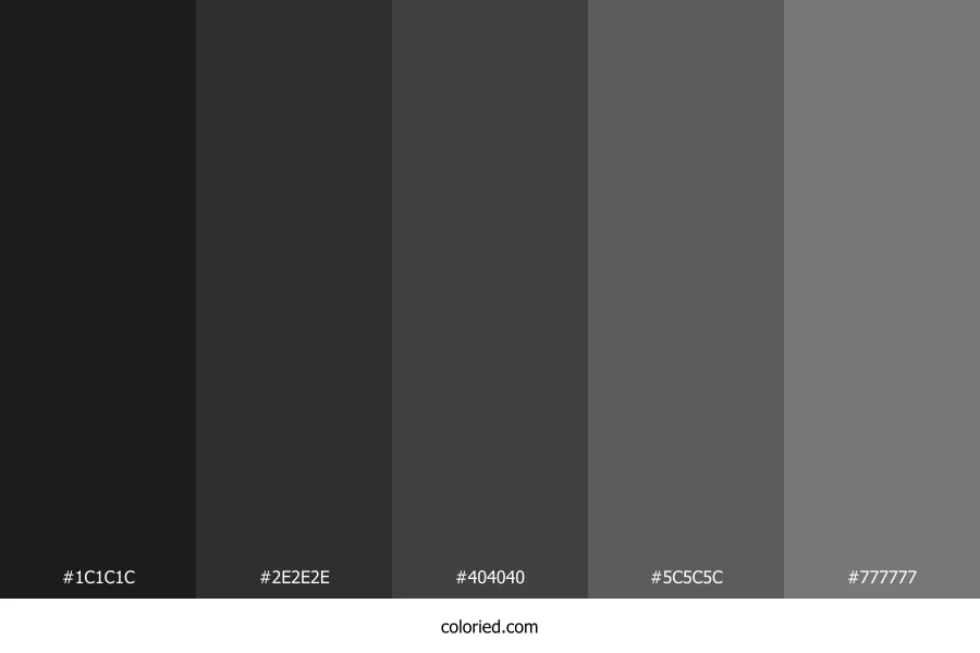 Black Carbon Color Palette