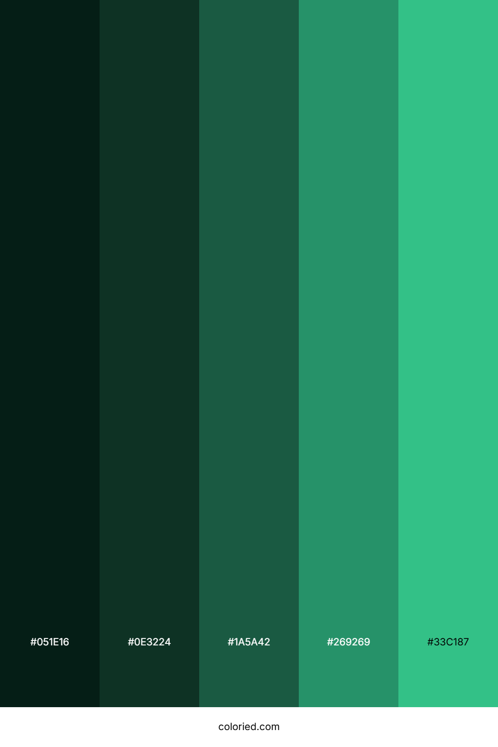 Black Emerald Gradient Color Palette