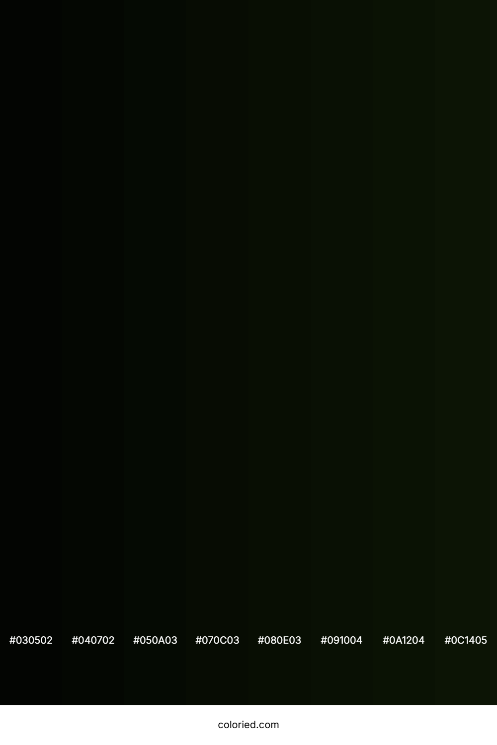 Black Forest Color Shades