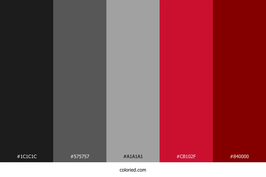 Black Gray Red Color Palette