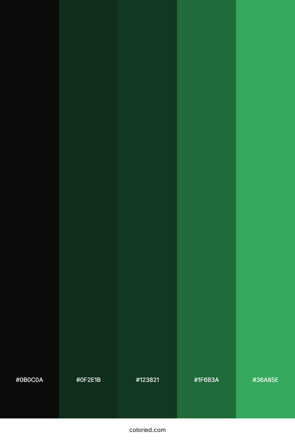 Black Green Gradient Color Palette