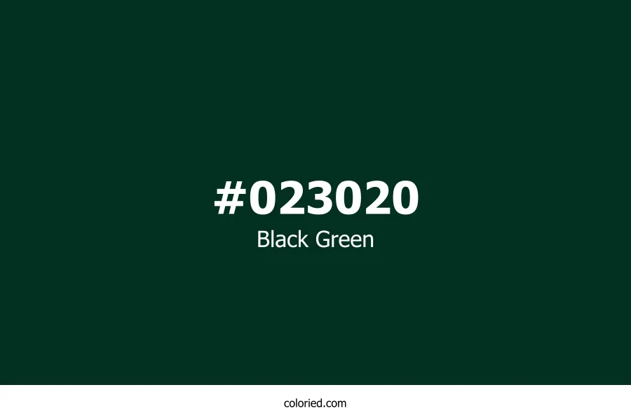 Black Green Color