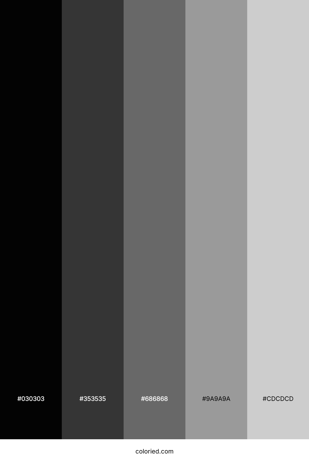 Black Grey White Color Palette