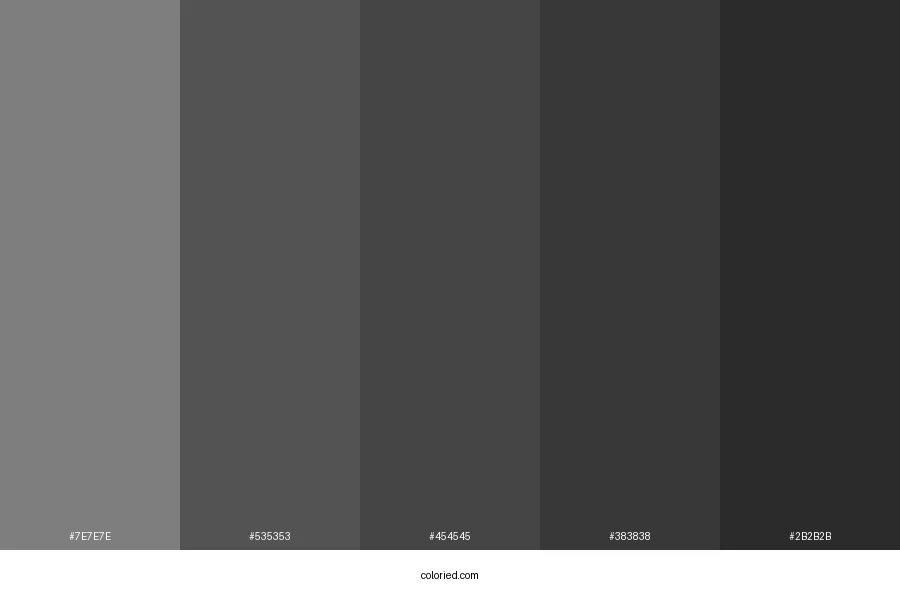 Black Hair Color Palette