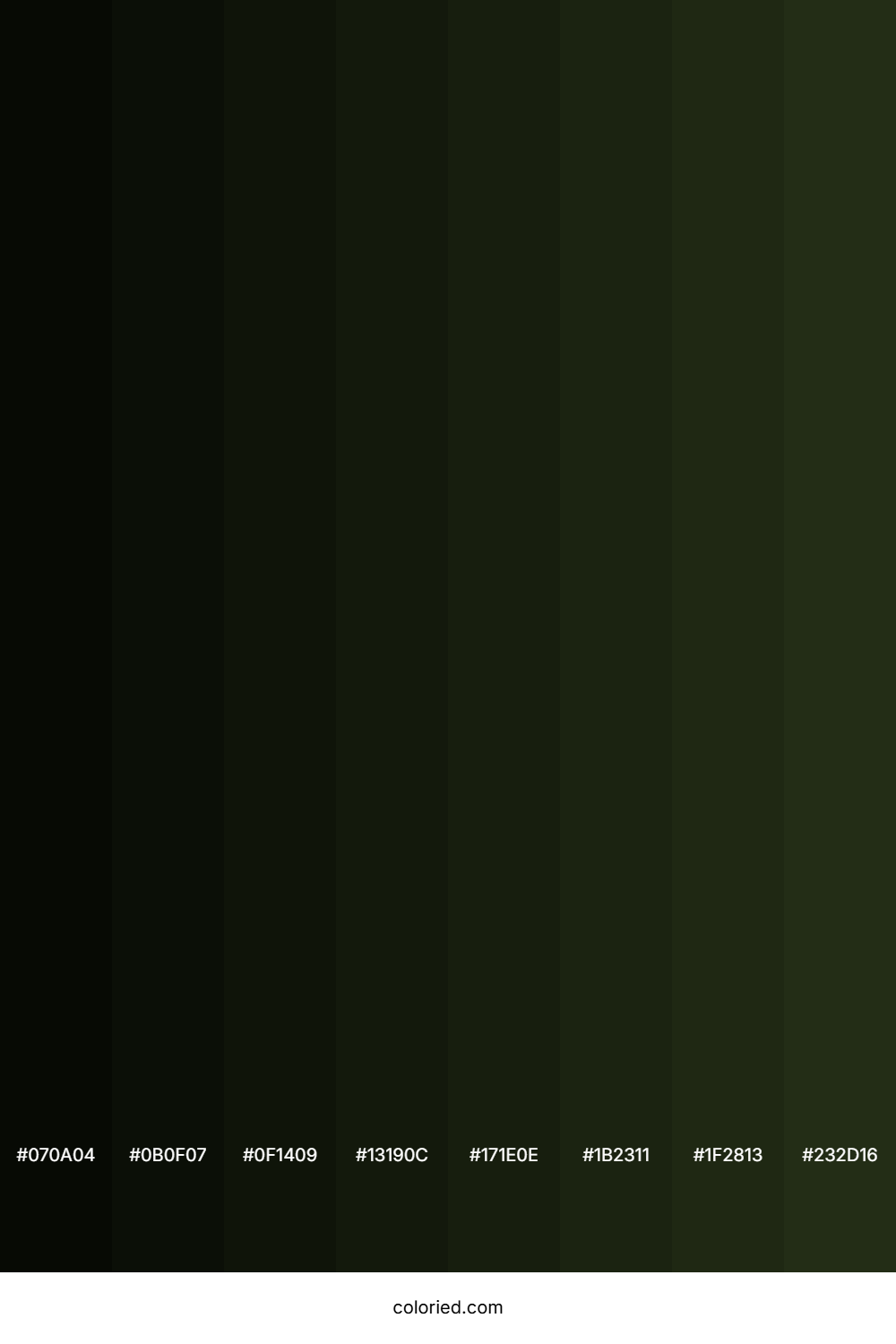 Black Olive Color Shades