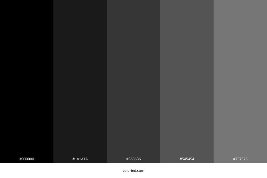 Black Ombre Color Palette