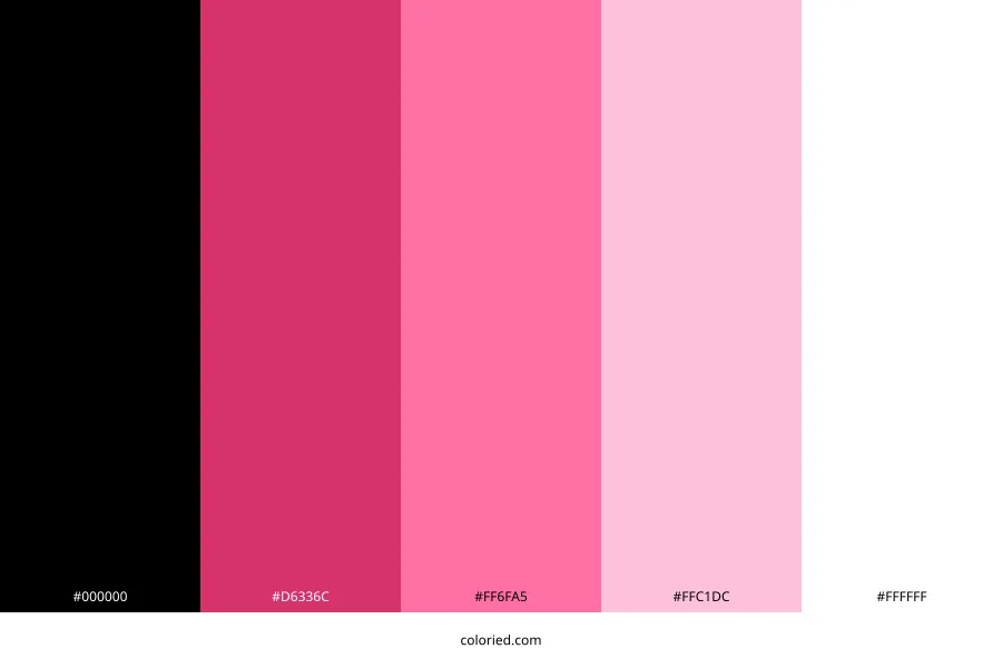 Black Pink White Color Palette
