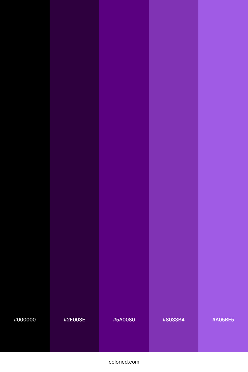 Black Purple Gradient Color Palette