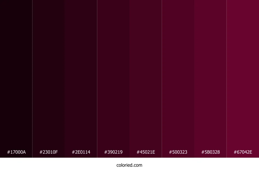 Black Rose Color Shades