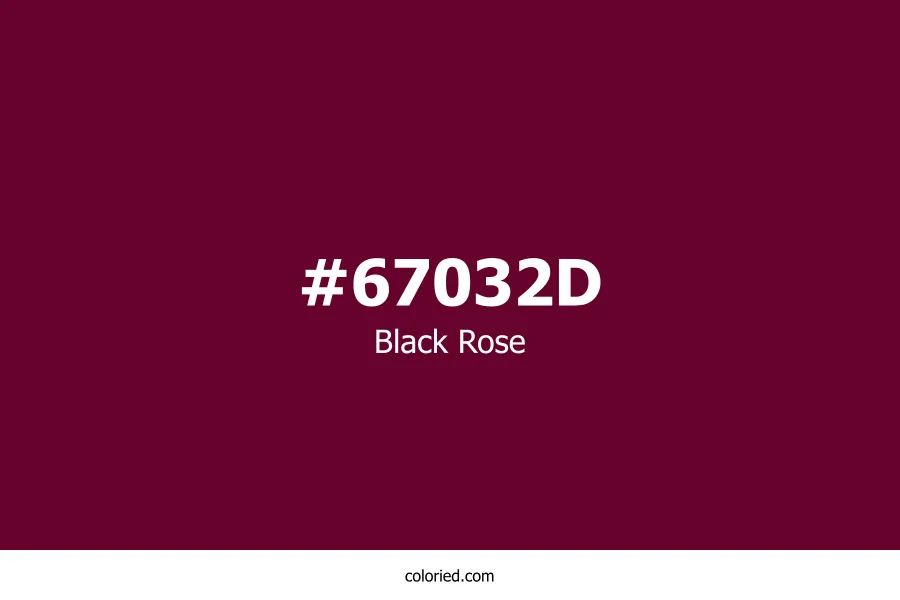 Black Rose Color