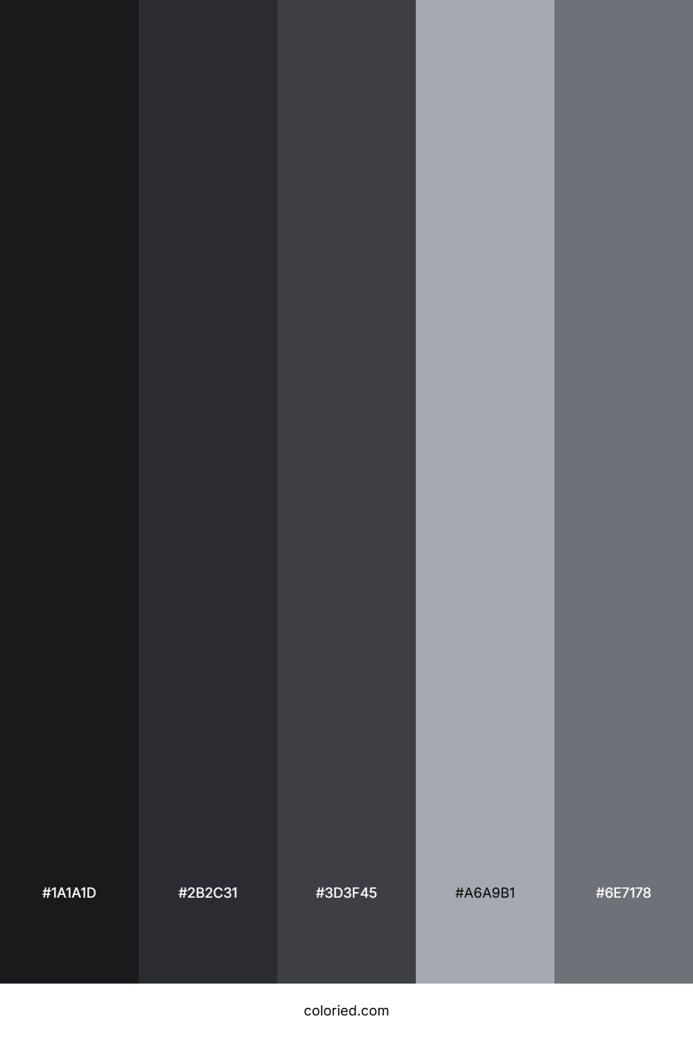 Black to Gray Color Palette