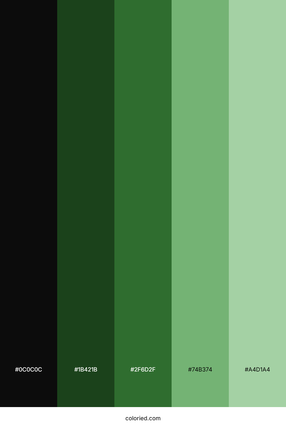 Black to Green Shade Color Palette