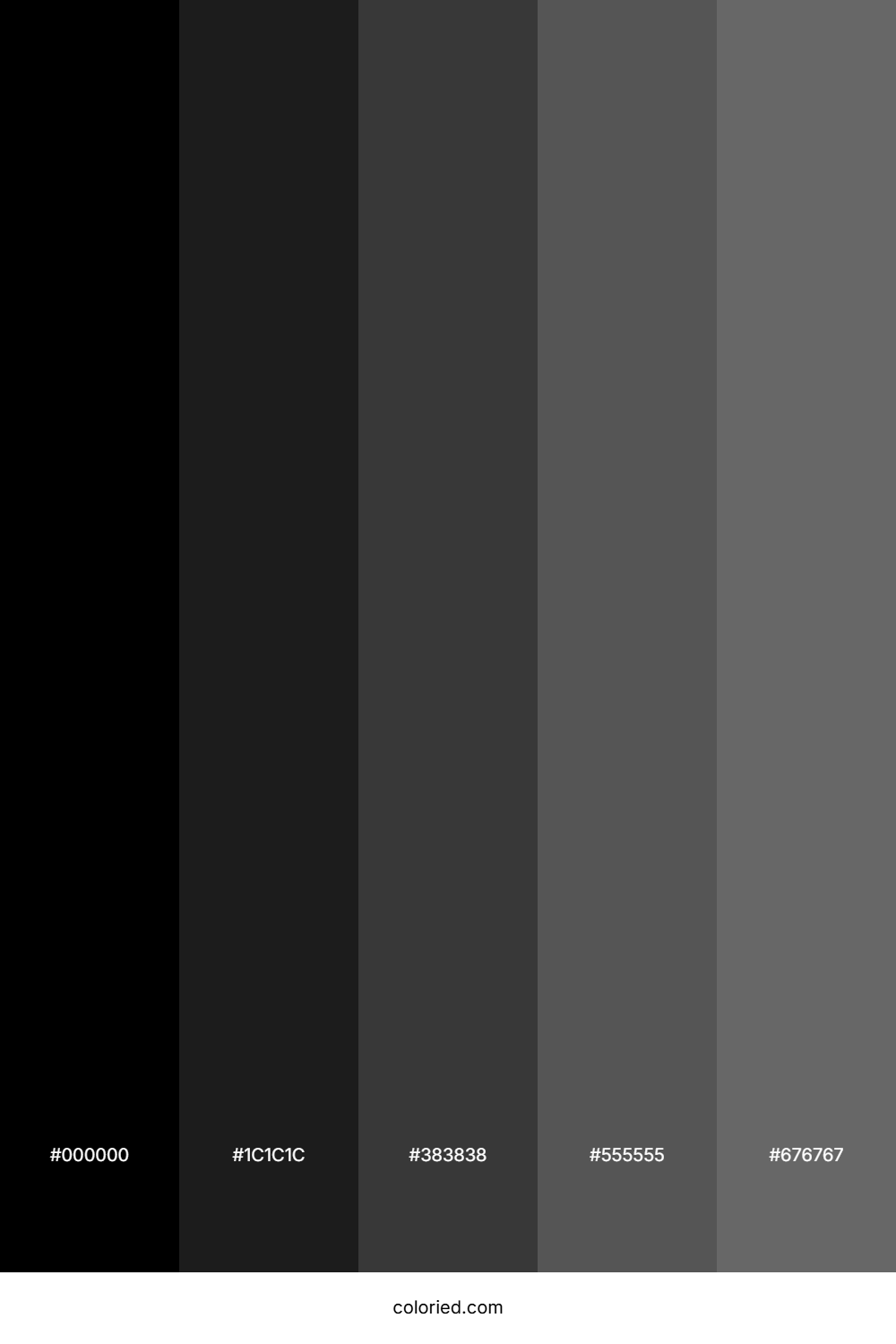 Black to Grey Gradient Color Palette