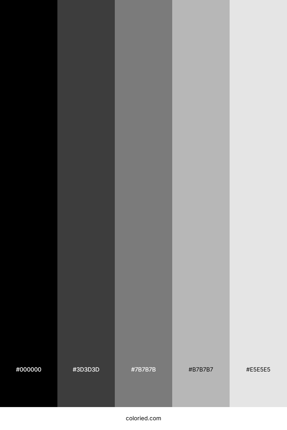 Black to White Gradient Color Palette