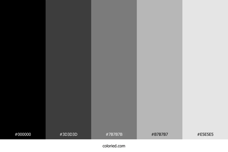 Black to White Gradient Color Palette