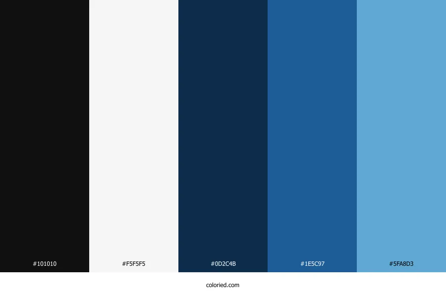 Black White and Blue Color Palette