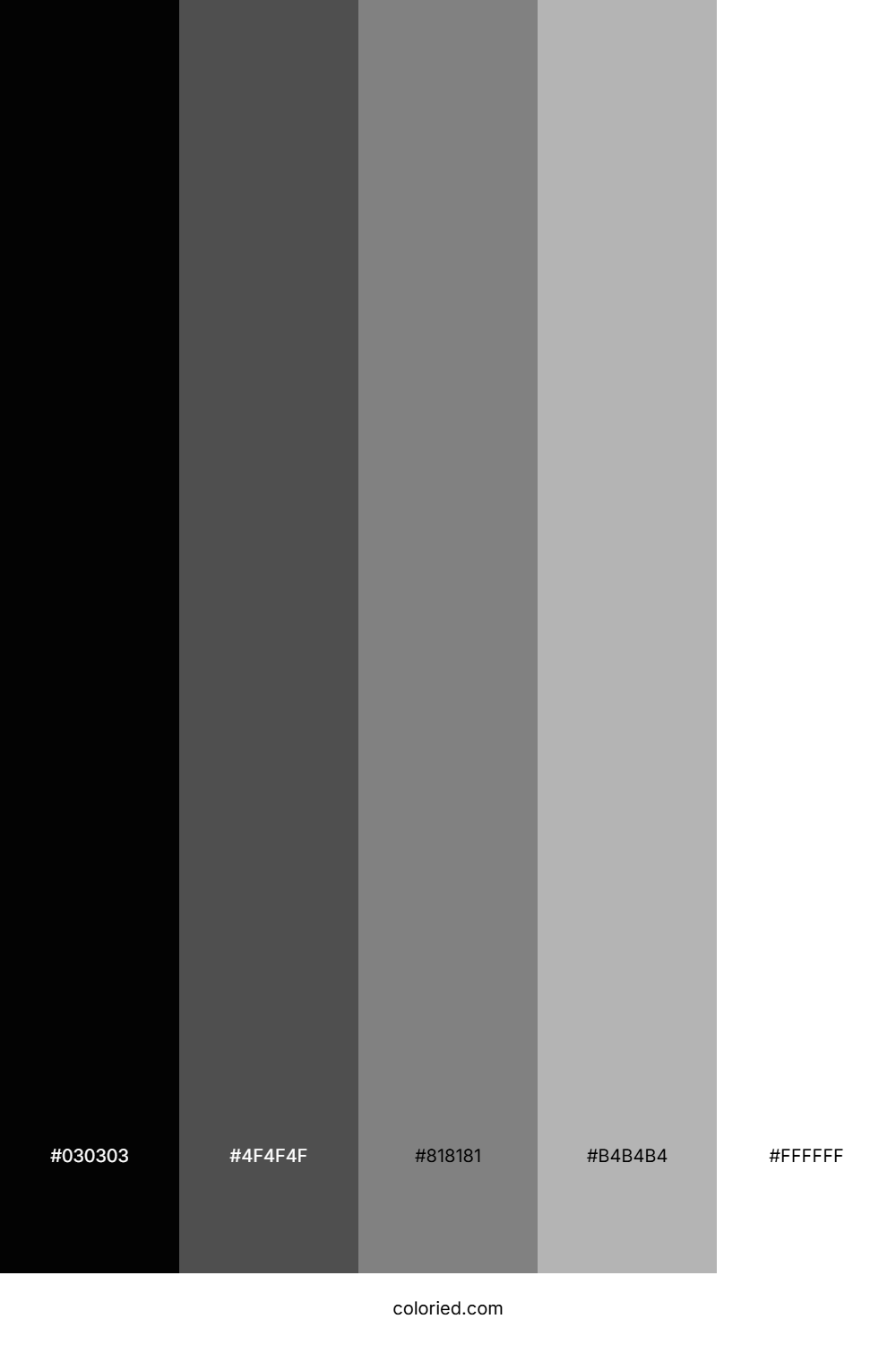 Black White and Gray Color Palette
