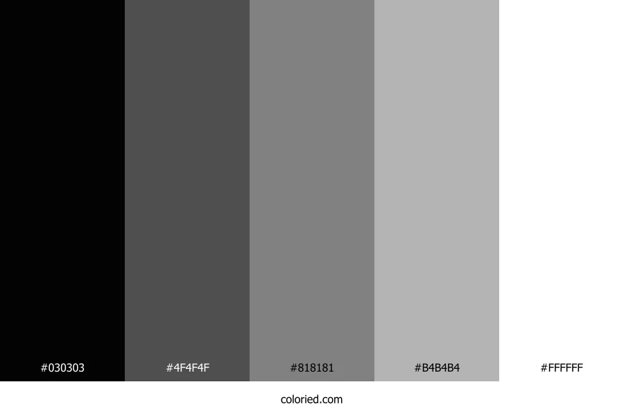 Black White and Gray Color Palette
