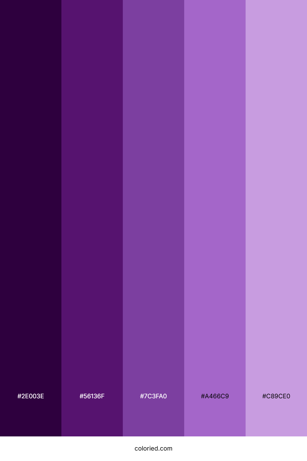 Blackberry Color Palette