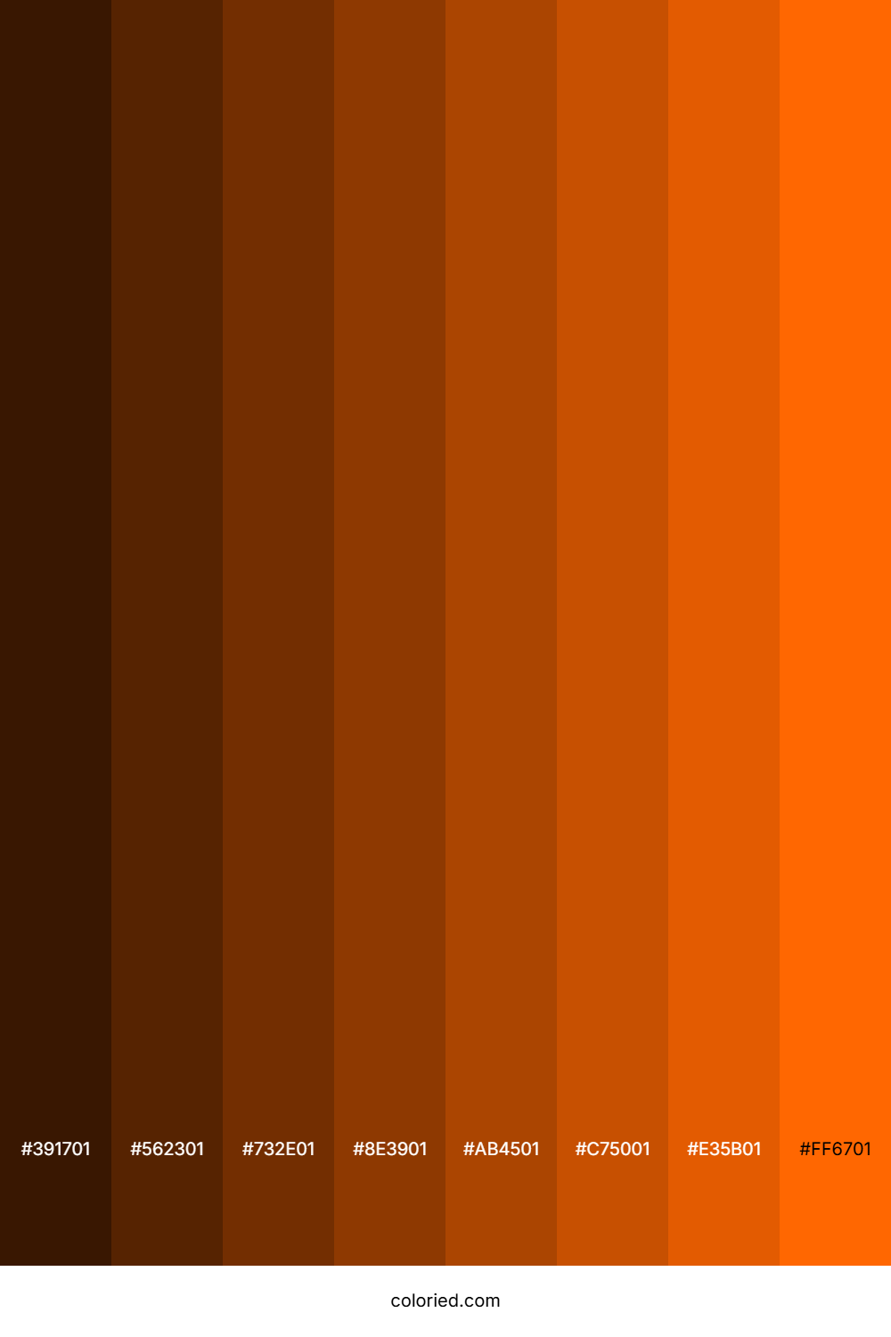 Blaze Orange Color Shades