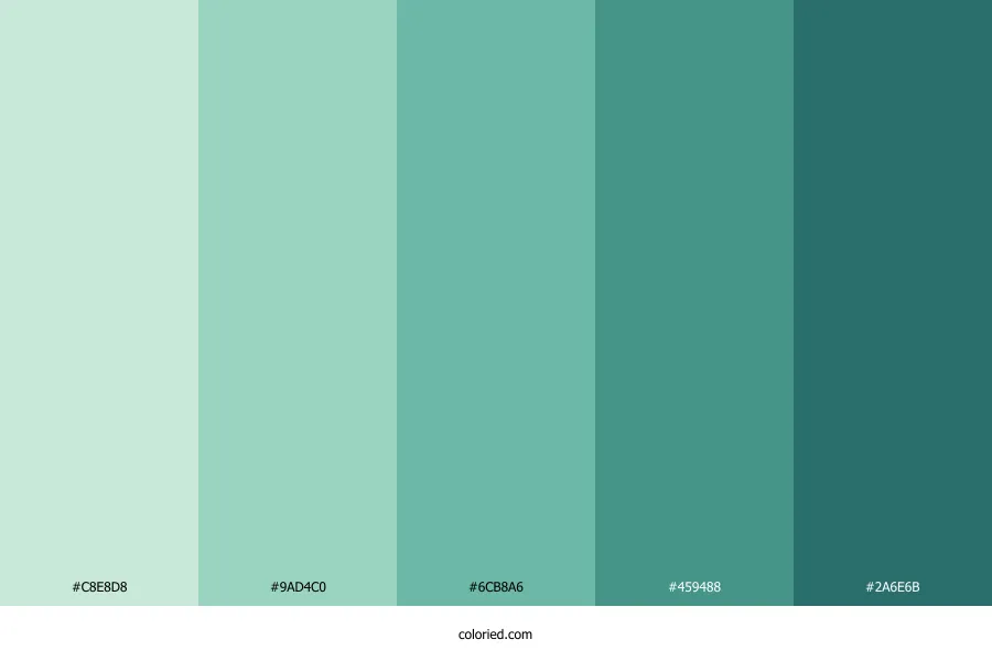 Blue Agave Color Palette