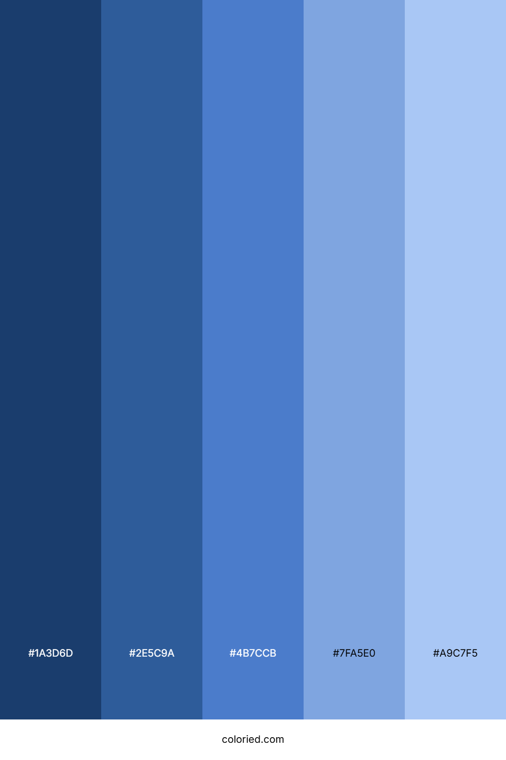 Blue Monochromatic Color Palette