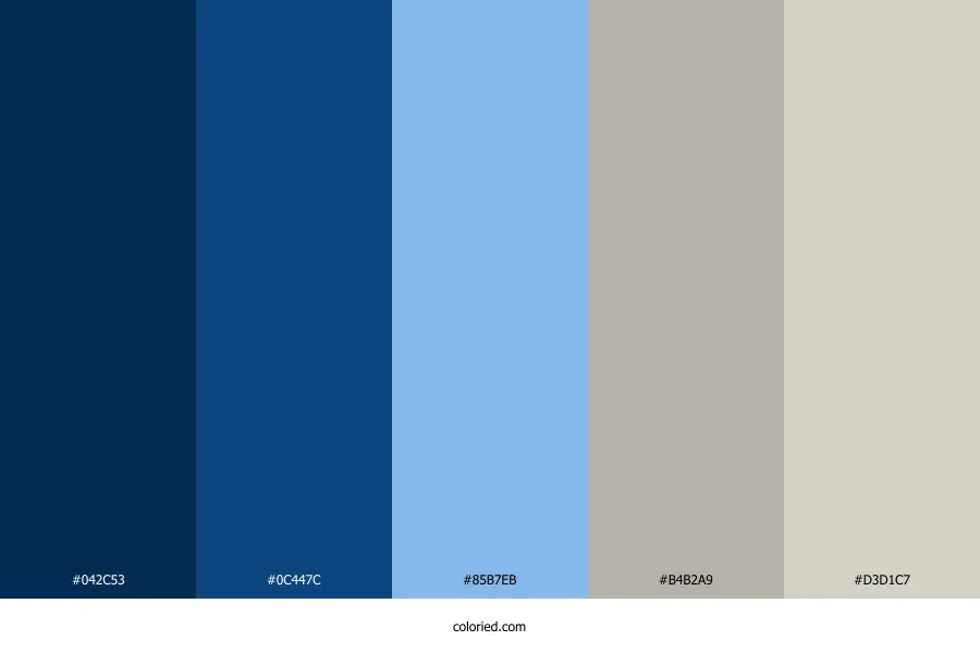 Blue Silver Color Palette