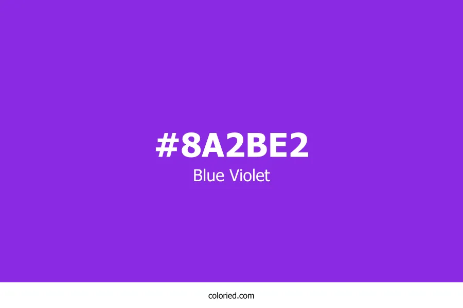 Blue Violet Color Hex Code