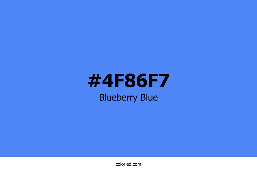 Blueberry Blue Color