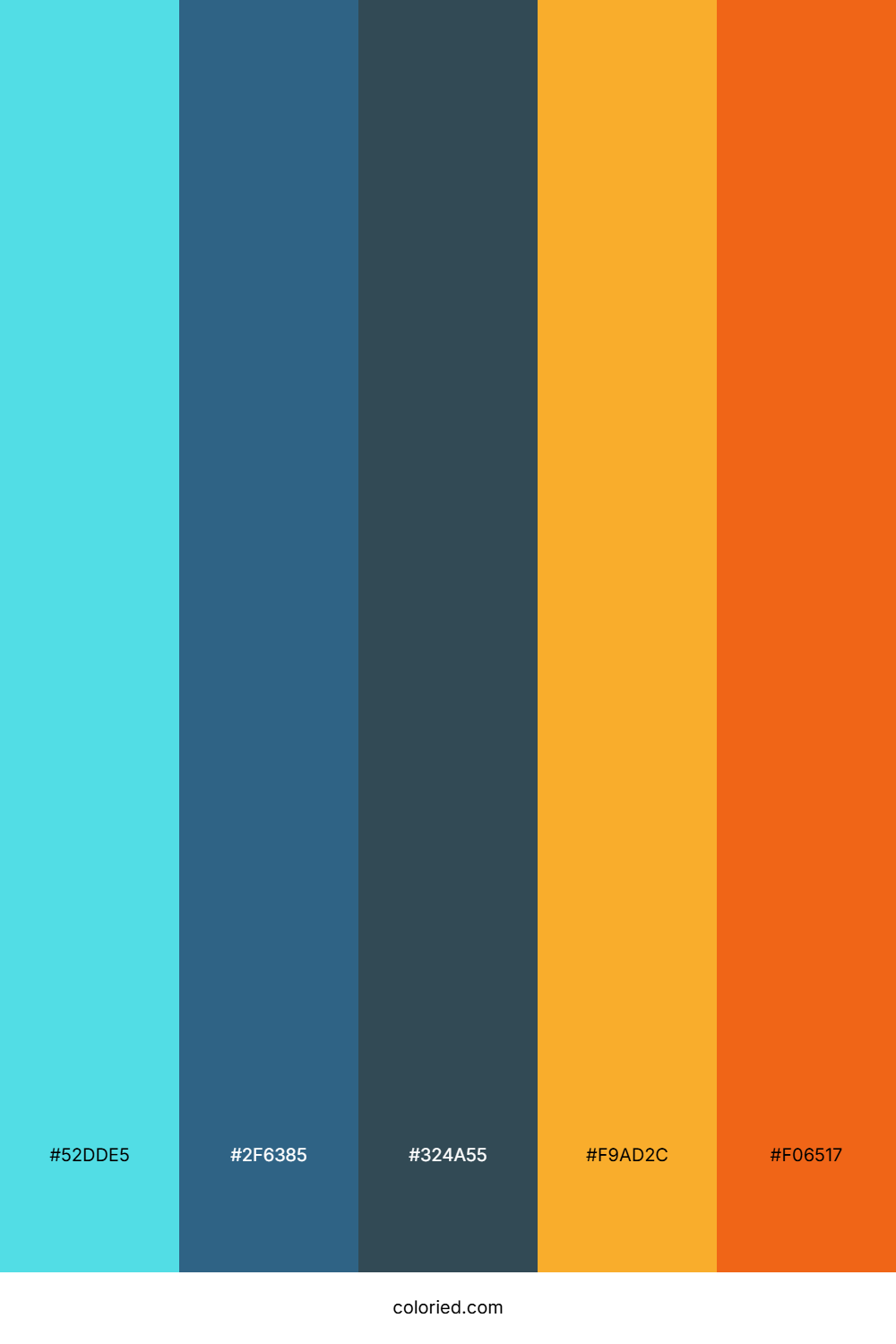 Blueberry Citrus Splash Color Palette