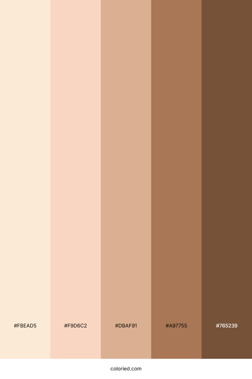 Blush Almond Brown Color Palette