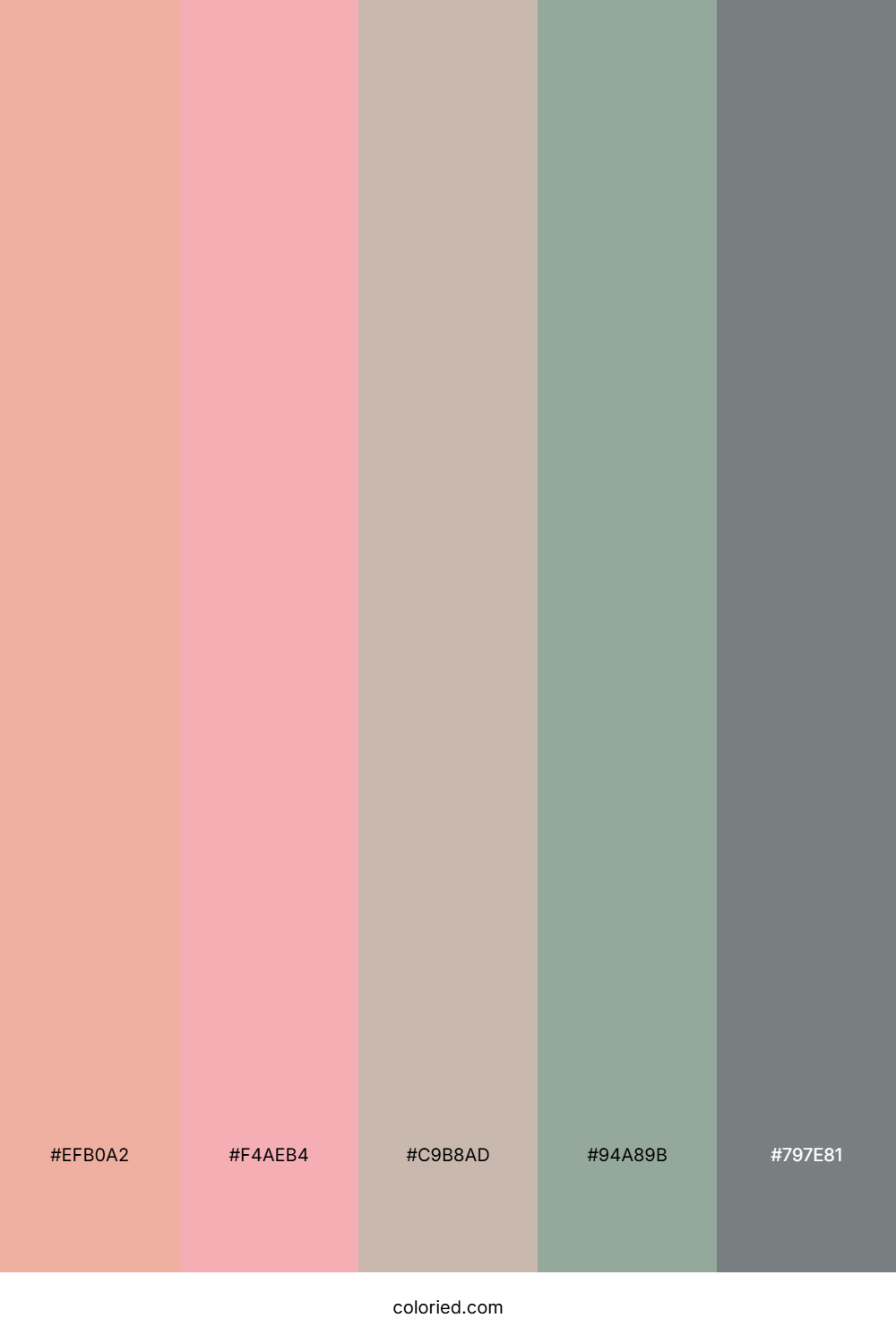 Blush Almond Color Palette