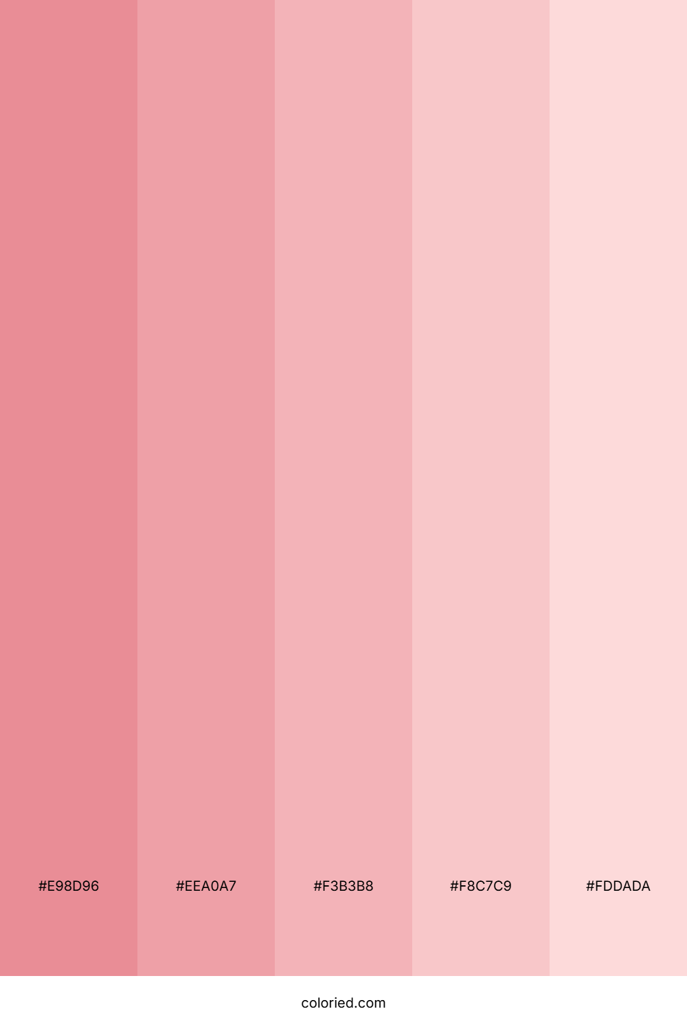Blush and Coral Color Palette