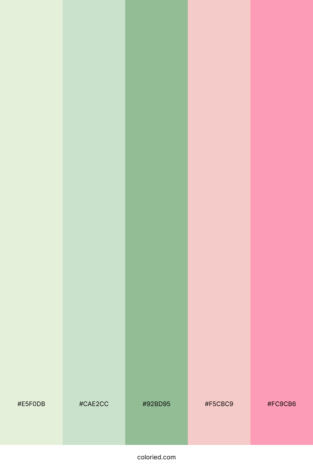 Blush Bay Forest Palette