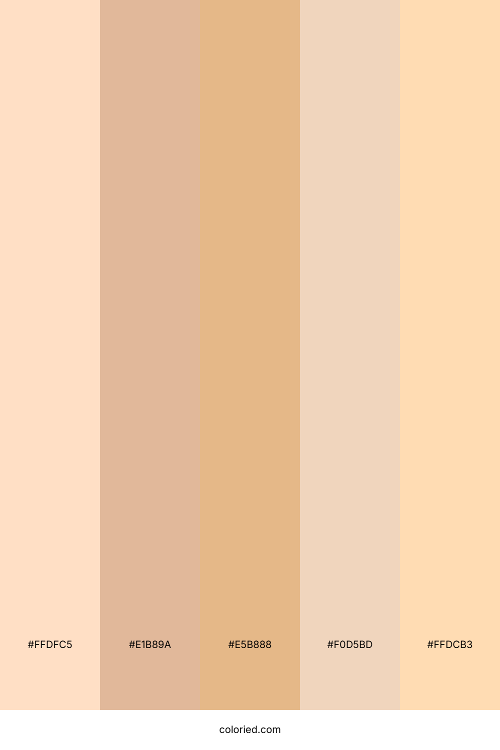 Blush Biscuit Tone Color Palette
