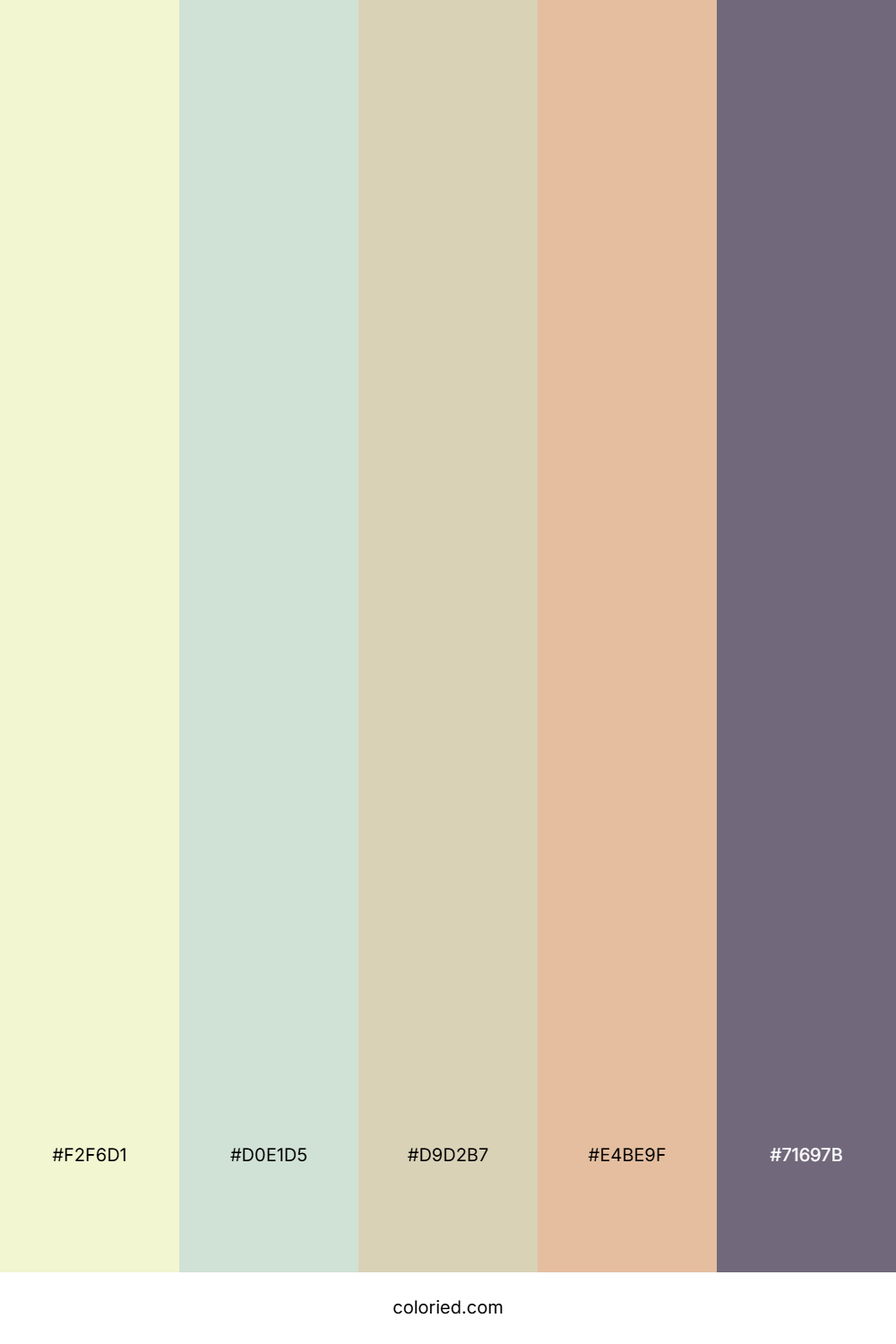 Blush Citrus Sunrise Color Palette
